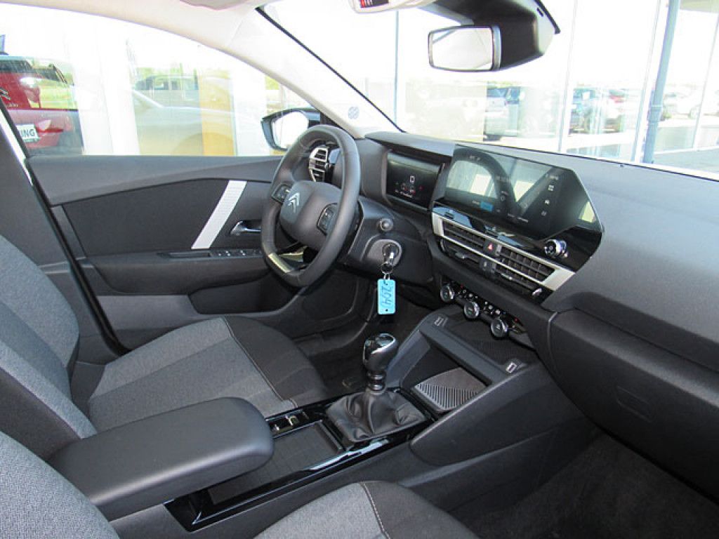 Citroën C4 PureTech 100 You Multimedia R-Kamera PDC Klim