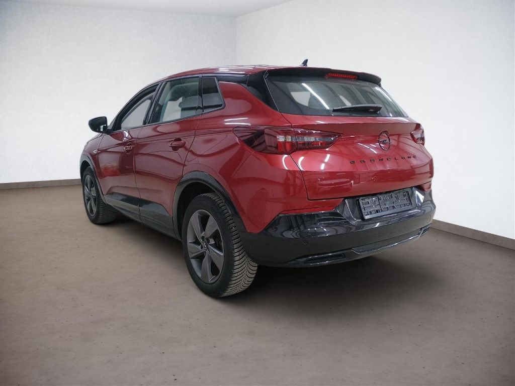 Opel Grandland 1.2 Turbo GS LED Kamera SHZ PDC ToterW